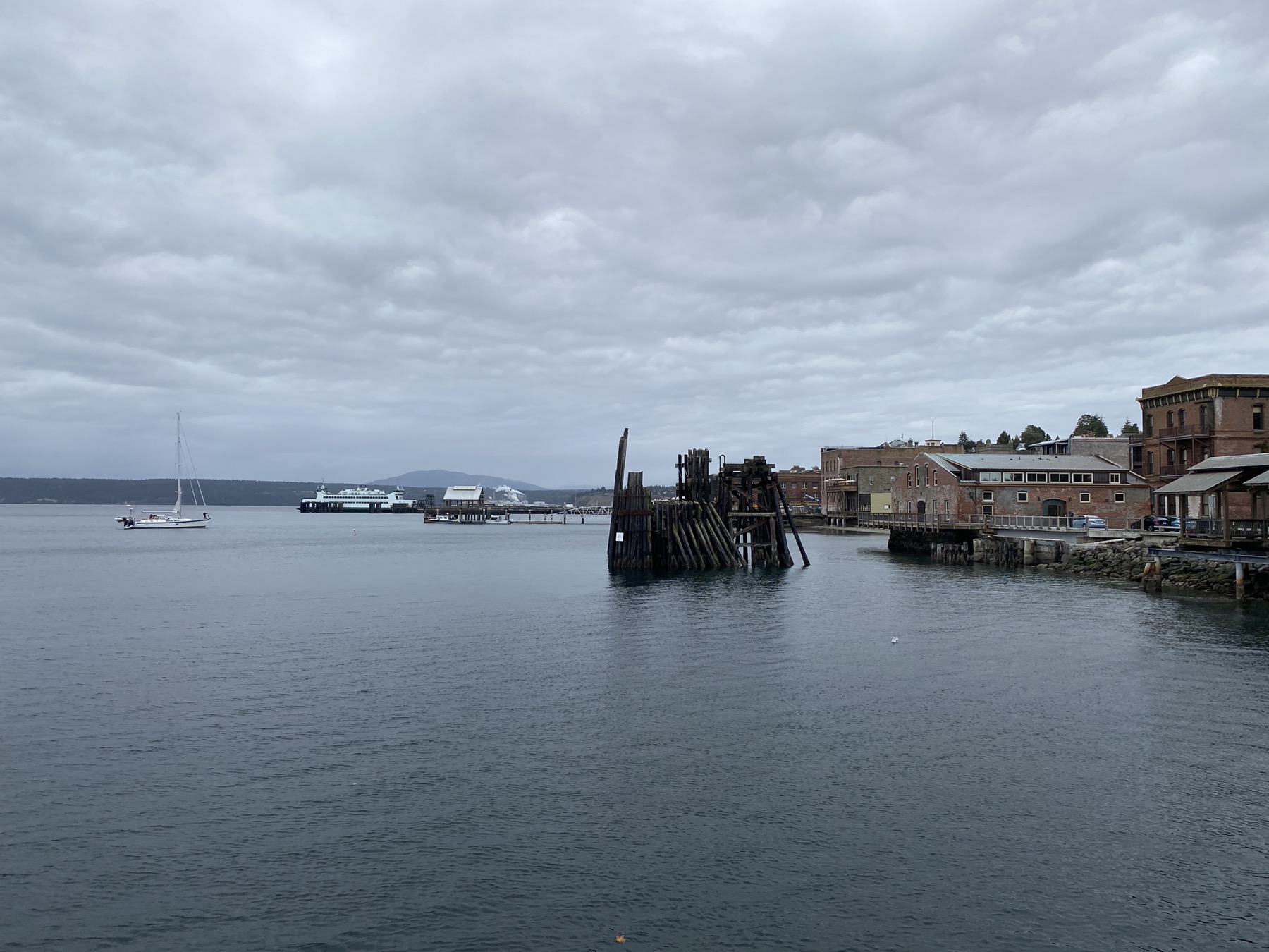 Port Townsend Bay, where whale-watch boats leave for the Salish Sea