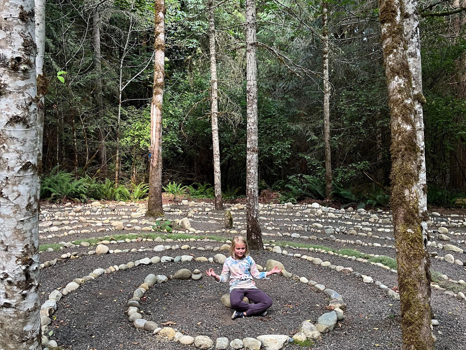 Stone circle in the woods