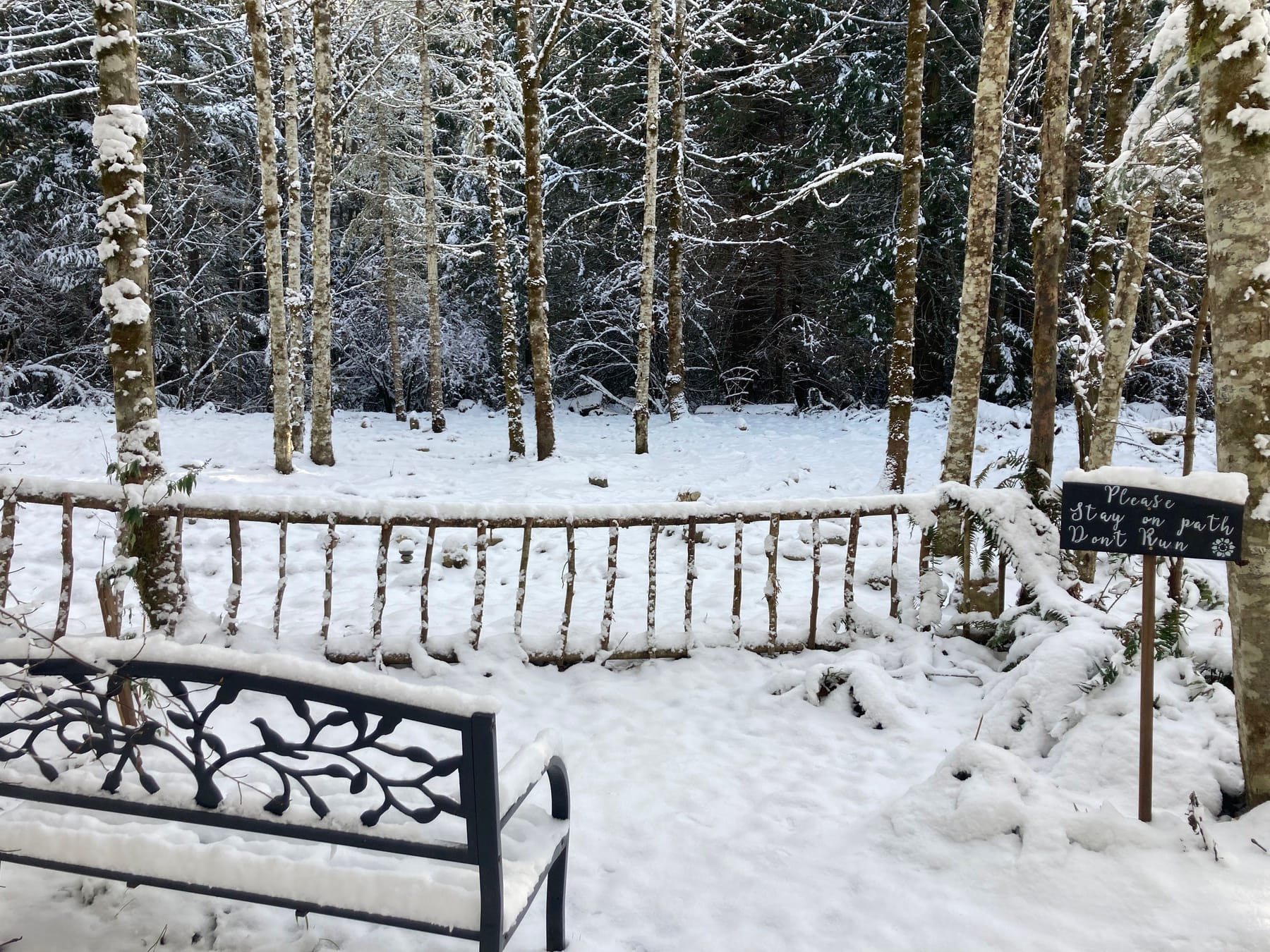 Snow on the woods path at Blue Mountain Retreat