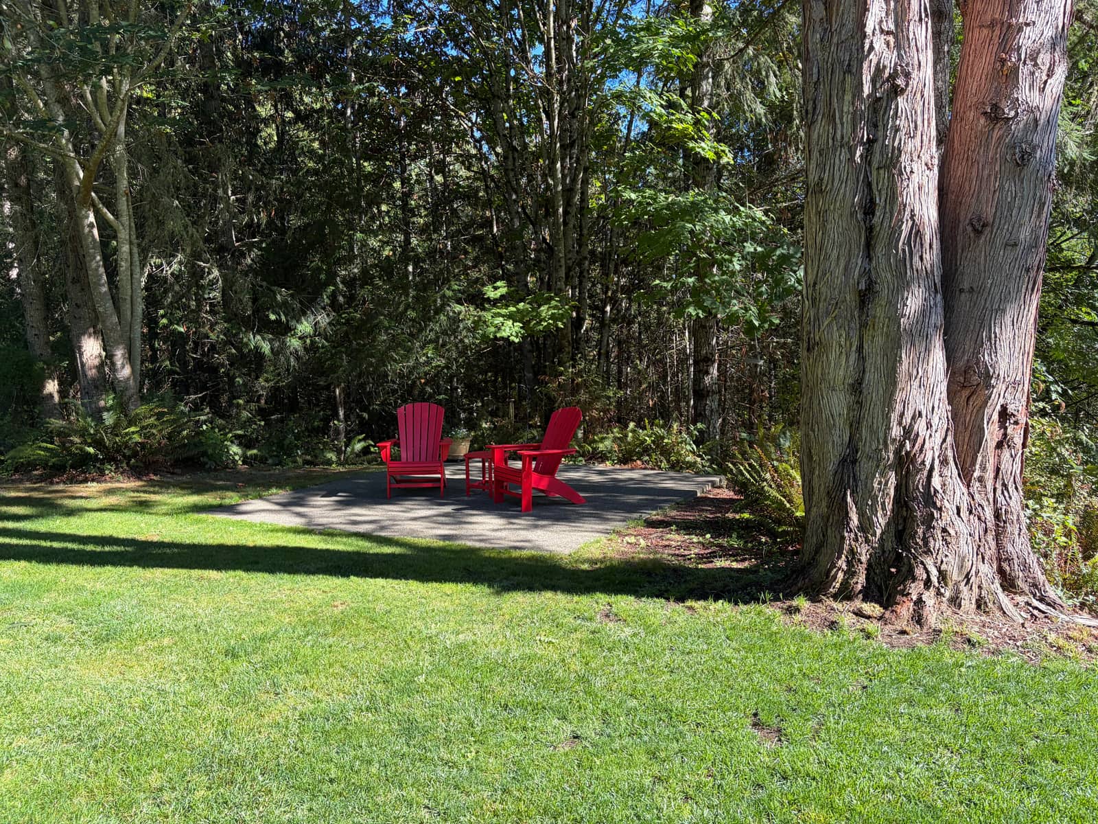 Adirondack chairs on the lawn