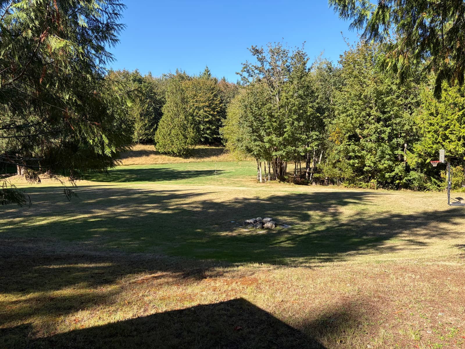 Open field
