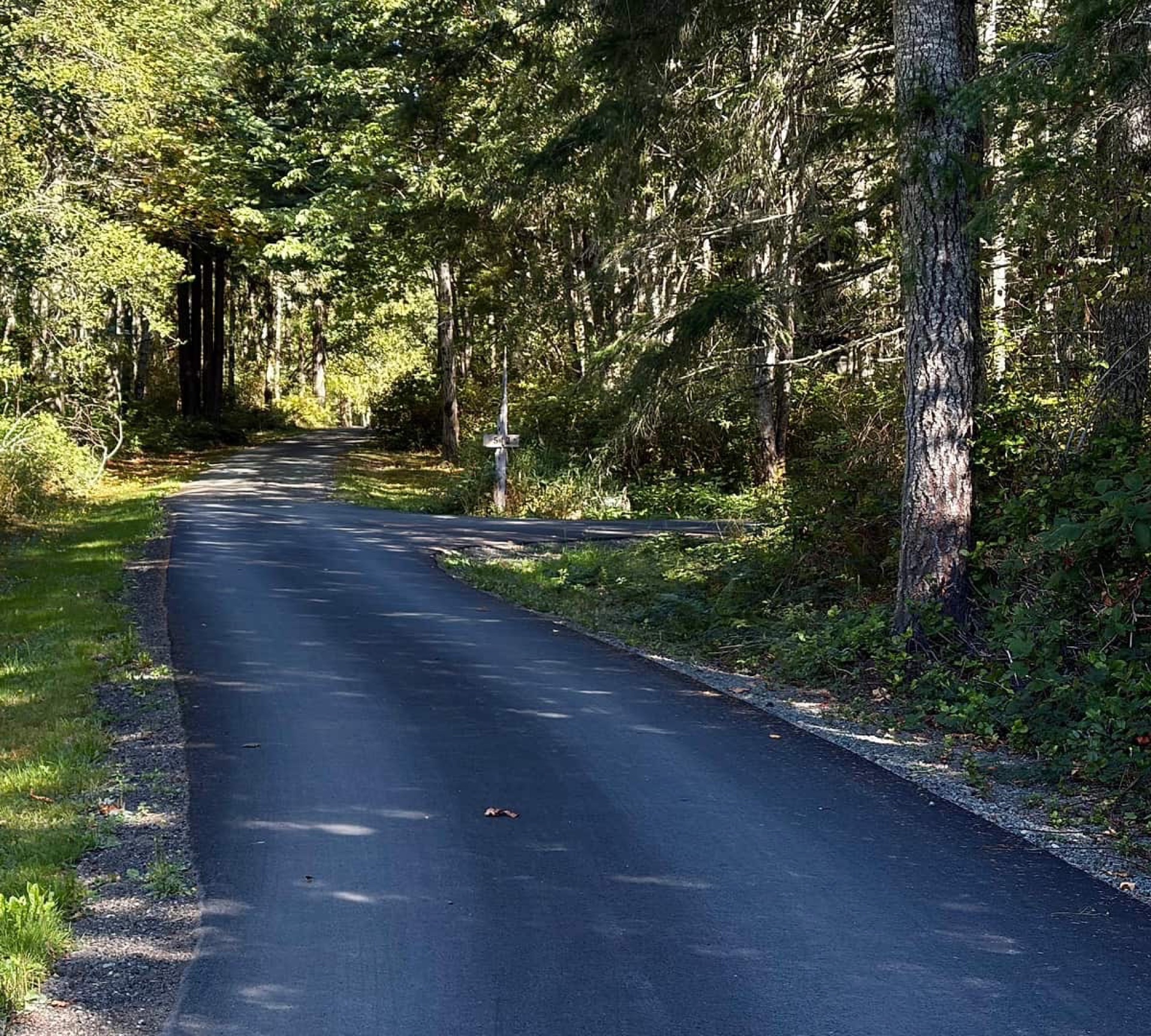 Wooded driveway into Blue Mountain Retreat