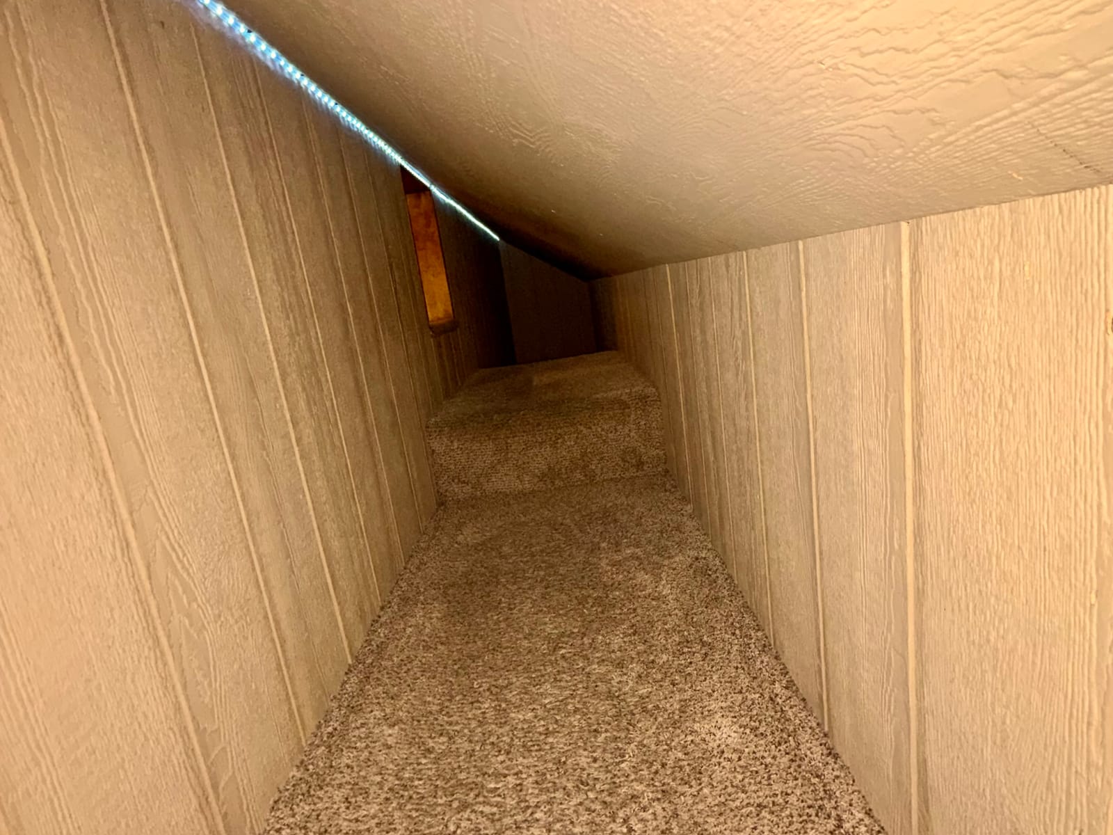 The passage lit for the kids