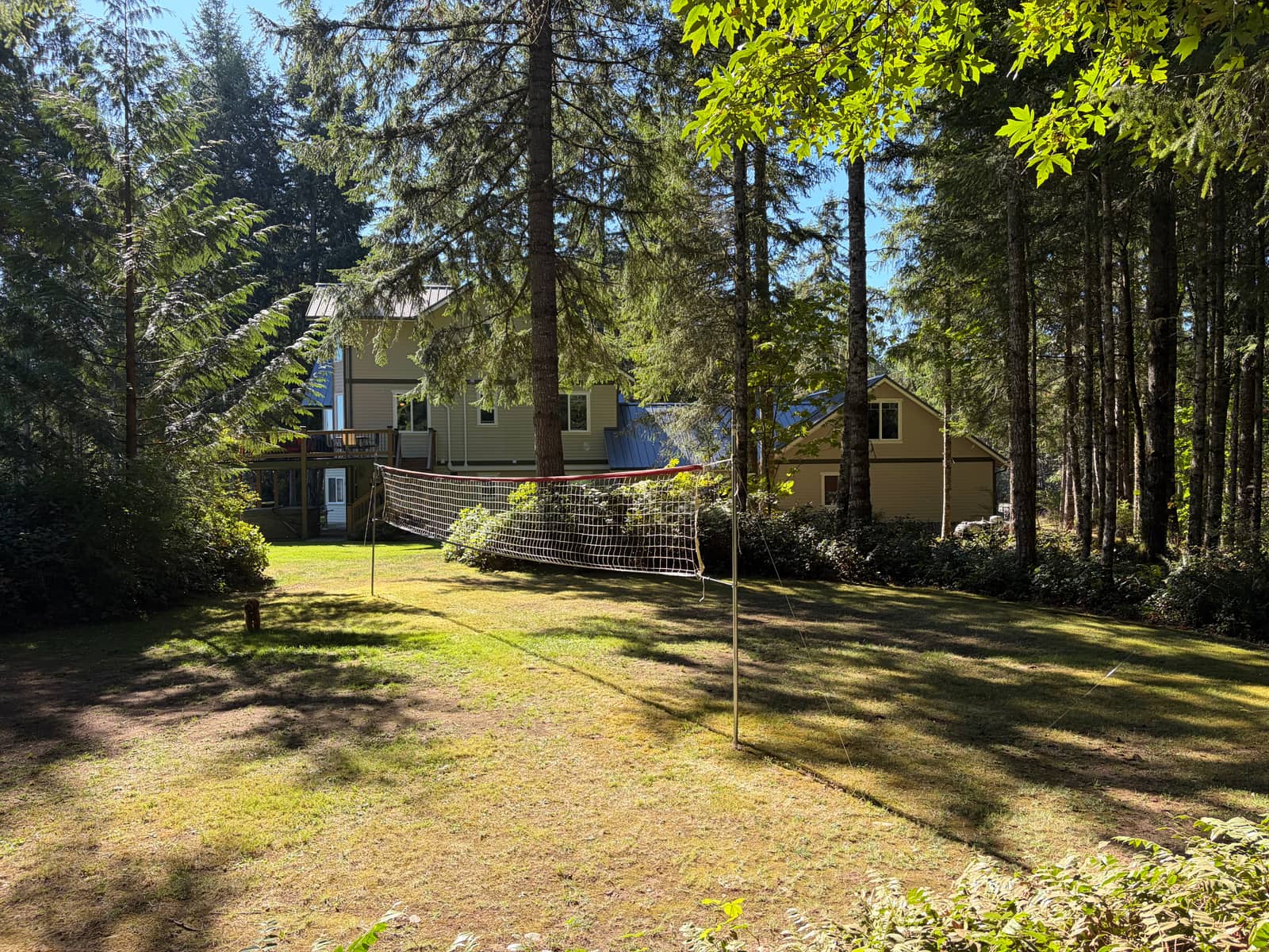 Volleyball on the lawn